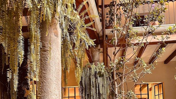 An indoor courtyard with stone flooring, potted plants, and hanging ferns.