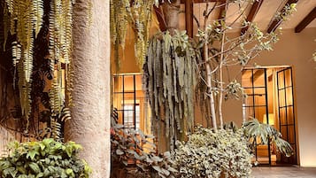 Detalle del exterior
