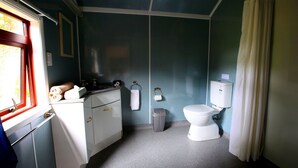 A compact bathroom with a toilet, sink, and a small trash bin. - Waitomo Express - 1918 Train Carriage (Waitomo)