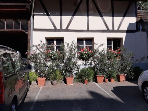 .The Alsatian house 7 p. Gites of Florimont 
