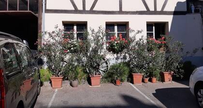 .The Alsatian house 7 p. Gites of Florimont