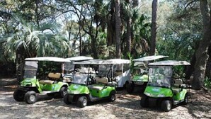 Three golf carts parked in a shaded area with trees in the background. - 167 Beach Club Villa - Marsh & Canal View - Golf Cart Included (Fripp Island)
