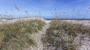 A sandy beach path with tall grasses and dunes leading to the ocean.