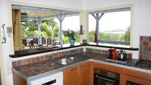 Una cocina con vistas al exterior, un lavabo, una estufa y armarios de madera.