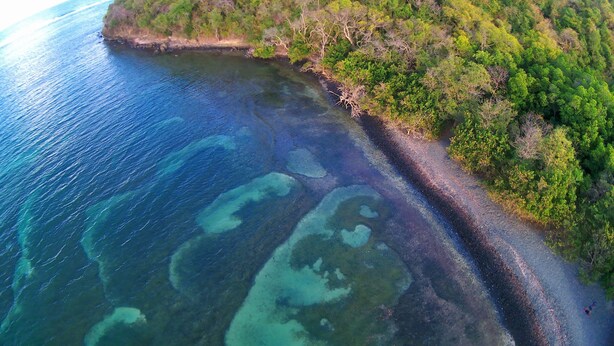 Vista aérea de una zona costera con aguas cristalinas, una playa de arena y abundante vegetación en una colina.