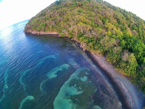 Creole style villa in a quiet tropical garden.