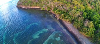 Creole style villa in a quiet tropical garden.