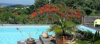 Creole style villa in a quiet tropical garden.