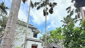 Una casa moderna con una puerta roja, rodeada de abundante vegetación y altas palmeras.