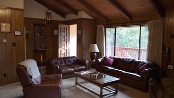 Smart TV, chimenea y reproductor de DVD