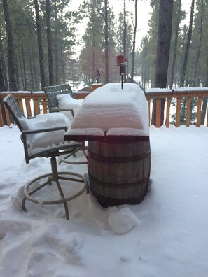Property grounds - Picturesque Mountain Cabin - Sleeps 8 (Angel Fire)