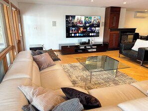 TV, fireplace, video games, DVD player