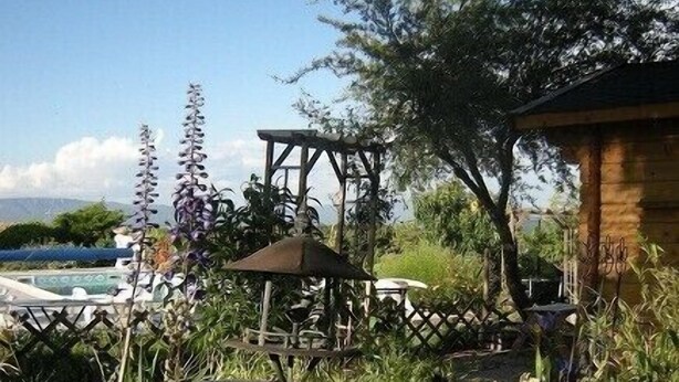 Un jardín con un bebedero para pájaros, diversas plantas y una estructura de madera.