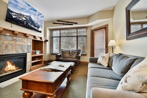 テレビ、暖炉、DVD プレーヤー