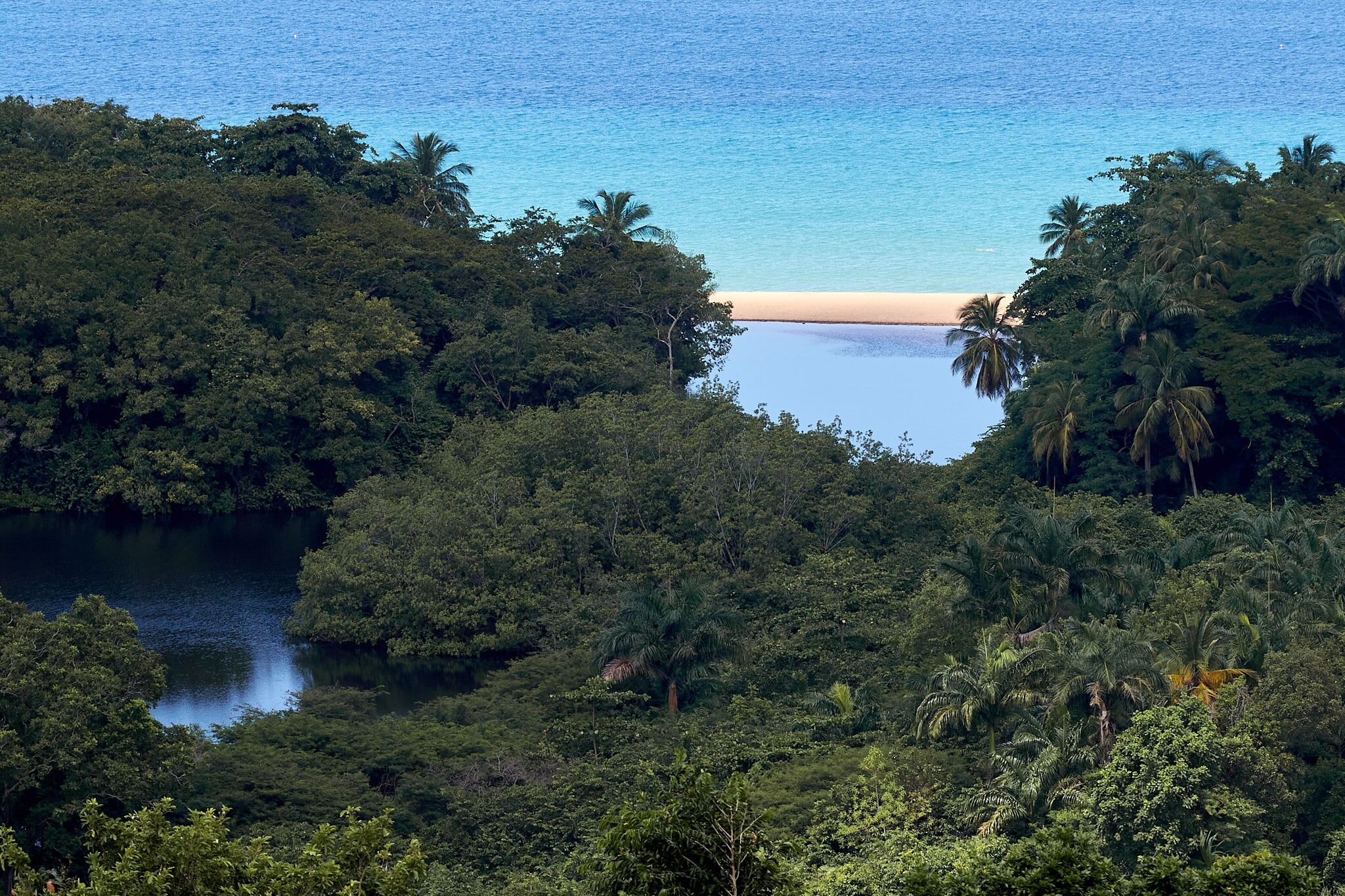 Una playa tropical rodeada de densa vegetación.