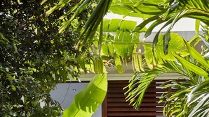 Une maison moderne dotée d’une porte coulissante en bois, d’un chemin en béton et d’une végétation luxuriante.