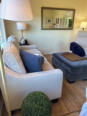 Smart TV, fireplace, DVD player, books