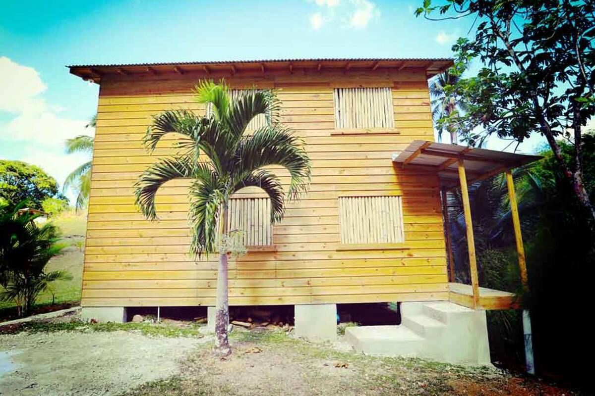A wooden building with a palm tree in front.