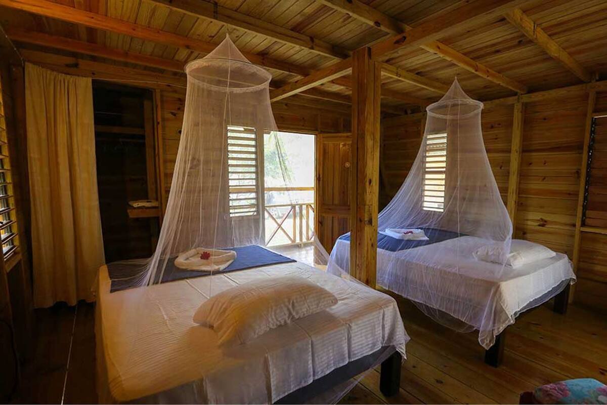 Two wooden cabins with mosquito nets over beds, wooden floors, and a window with blinds.