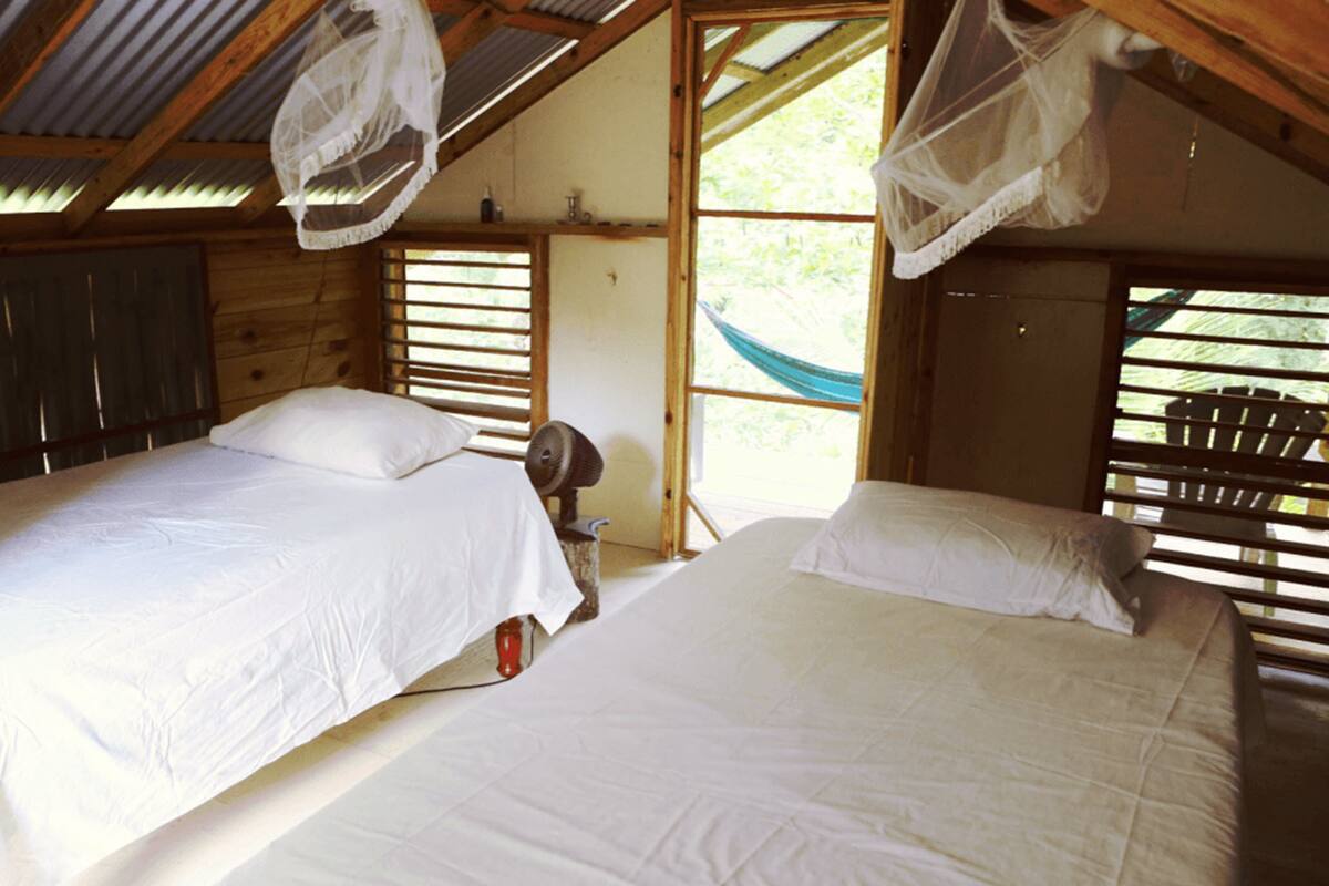 A room with two beds, a hammock, and mosquito nets.