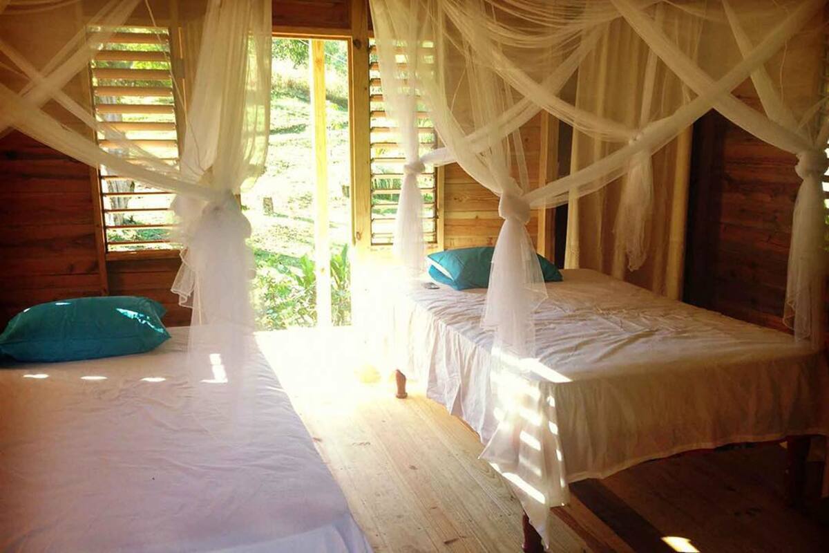 A room with two beds, each with a canopy.