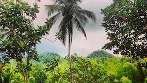 Un paisaje verde exuberante con una palmera y una escalera apoyada en un árbol.