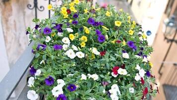 Un balcón con una maceta colgante que contiene una variedad de flores coloridas.
