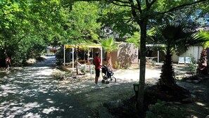 Tent, Shared Bathroom (Maori) | Terrace/patio