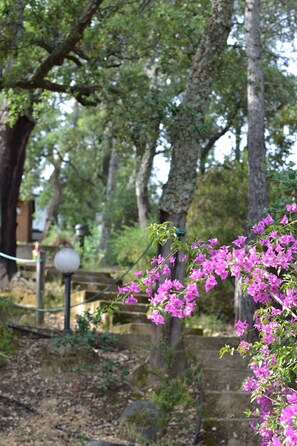 Jardines del alojamiento