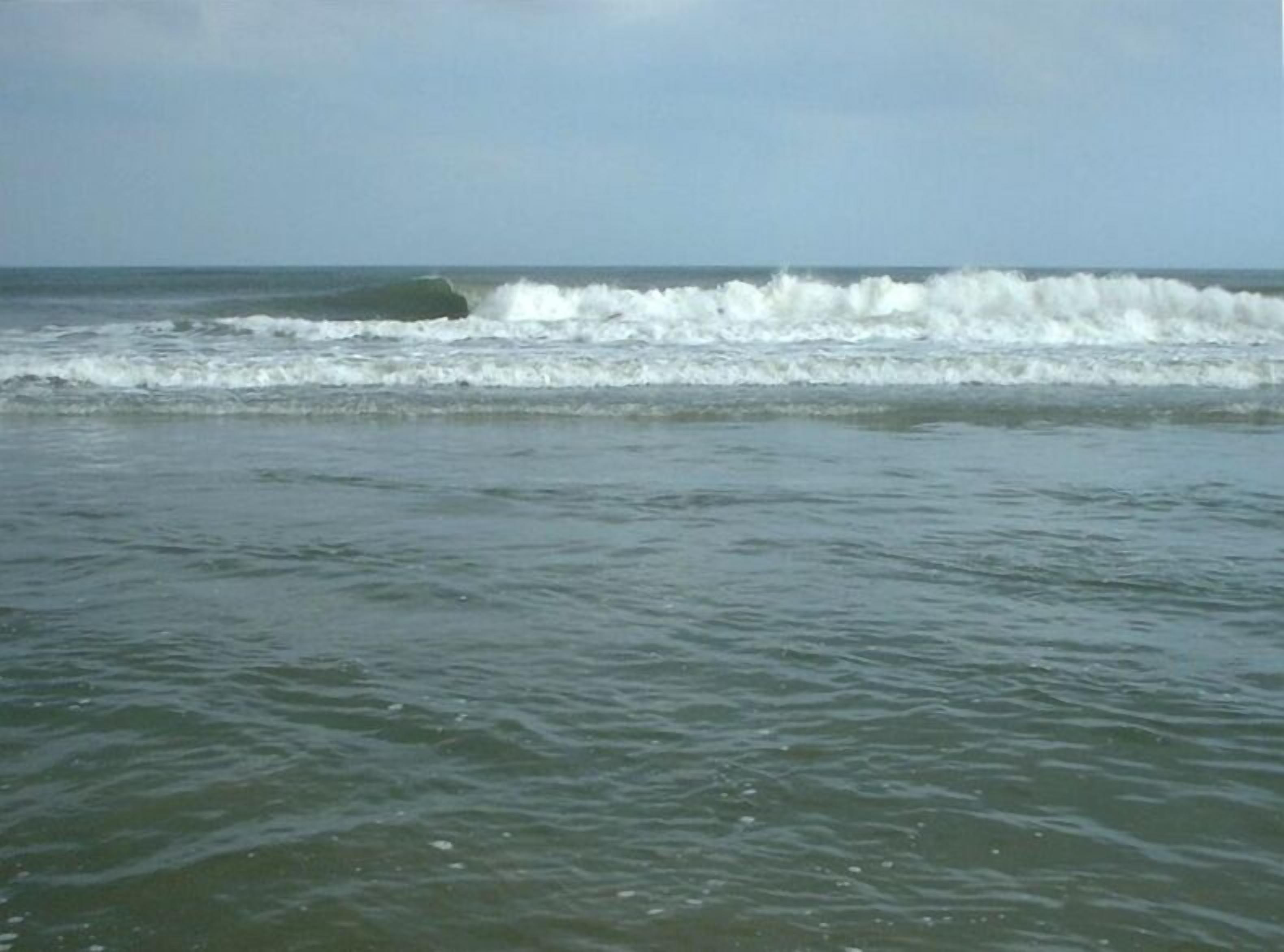 Surfs UP