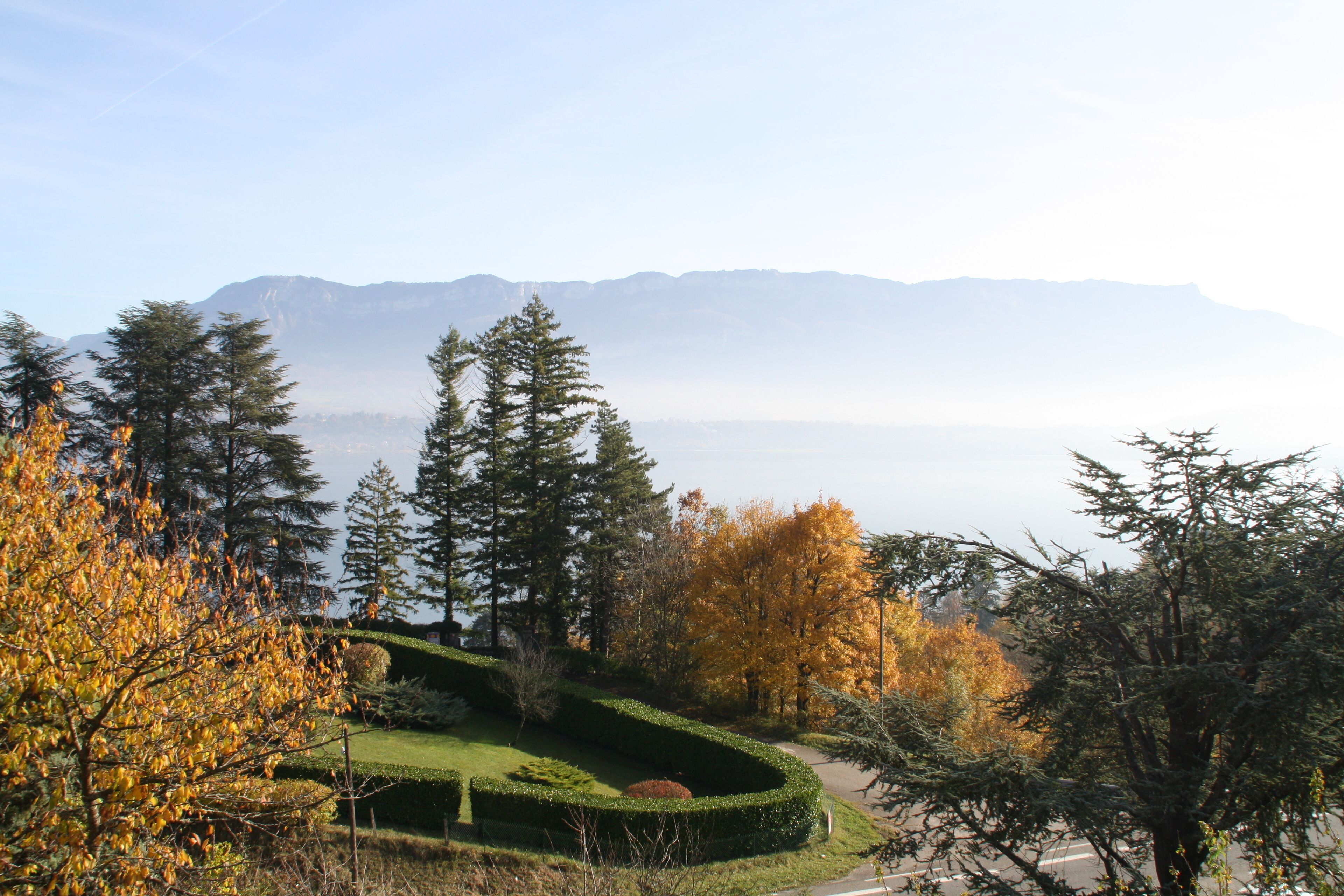 Un jardin aménagé avec des haies taillées, des arbres et une route.