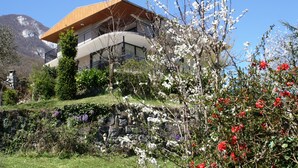 A modern building with a wooden roof and balconies, surrounded by blooming trees and a stone wall.