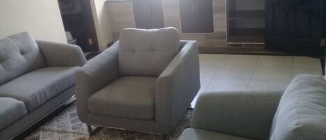 A living room with a grey sofa, a grey armchair, and a patterned rug.