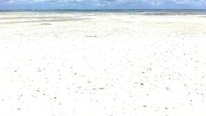 Beach - Mpole Bungalows (Michamvi)