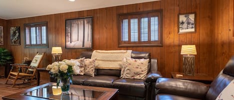 电视、壁炉、书、影片库