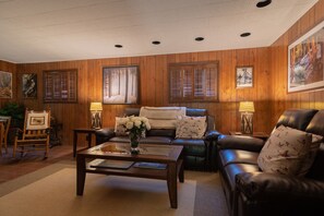 TV, fireplace, books, video library
