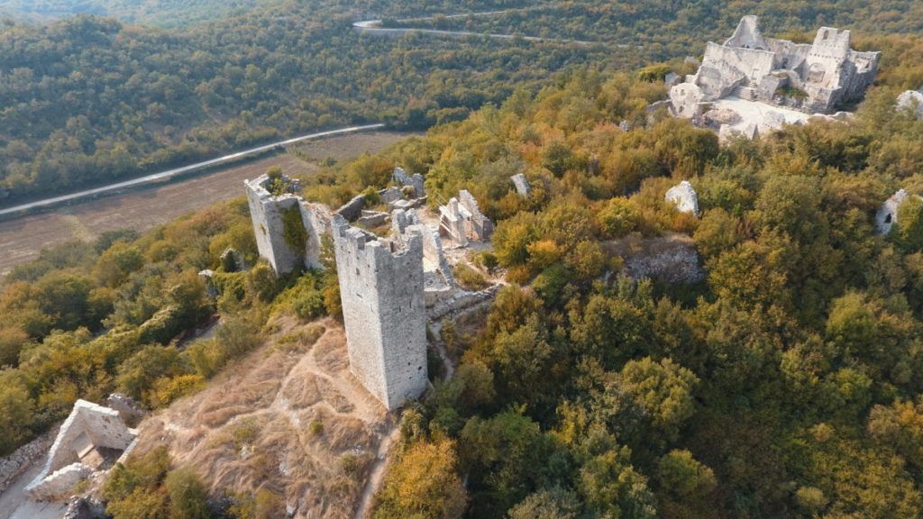 An aerial view of a historic castle surrounded by dense forest, with a winding road in the background.