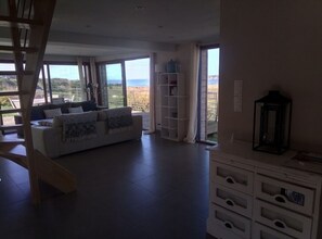 Télévision, cheminée, lecteur de DVD, livres