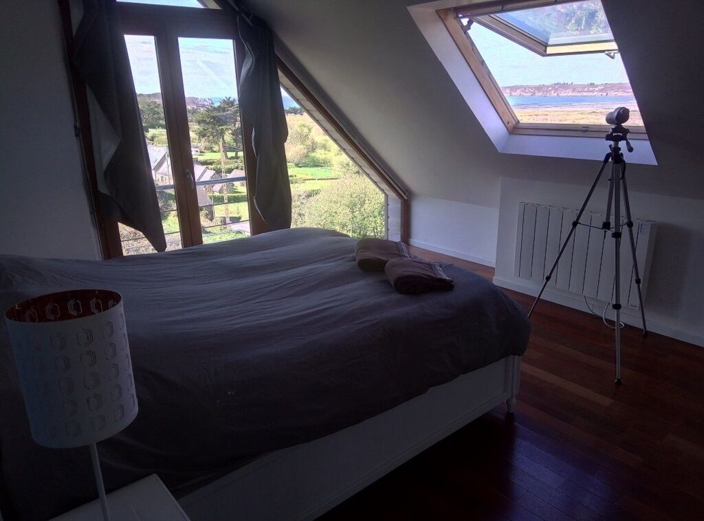 A bedroom with a skylight, a bed, a lamp, and a tripod.