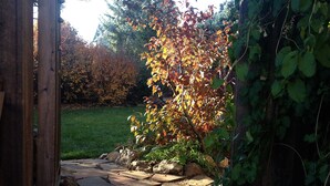 Ein steiniger Weg führt durch ein Holztor in einen Garten mit einem Baum, der Herbstlaub zeigt.
