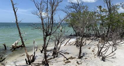 Luxury Beach Penthouse Suora Gulf View