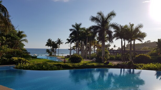 A clear blue pool with a view of the ocean and palm trees.