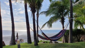 A hammock tied between palm trees overlooking a beach with a clear sky.