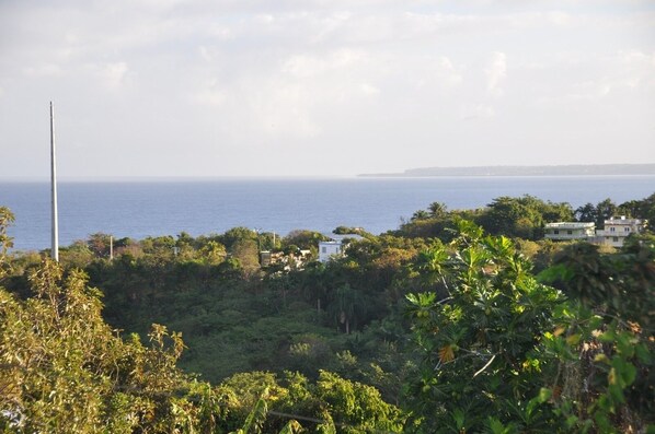 A coastal landscape with a view of the sea, dense greenery, and a few buildings in the distance.