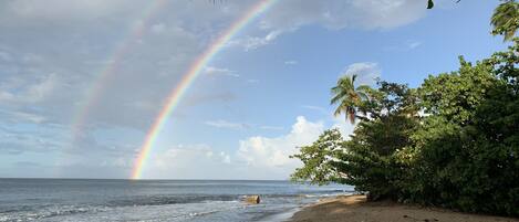 Sun loungers, beach towels