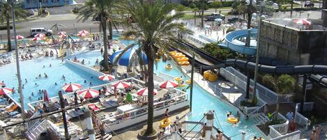 A large outdoor swimming pool with multiple lanes, surrounded by palm trees and umbrellas.