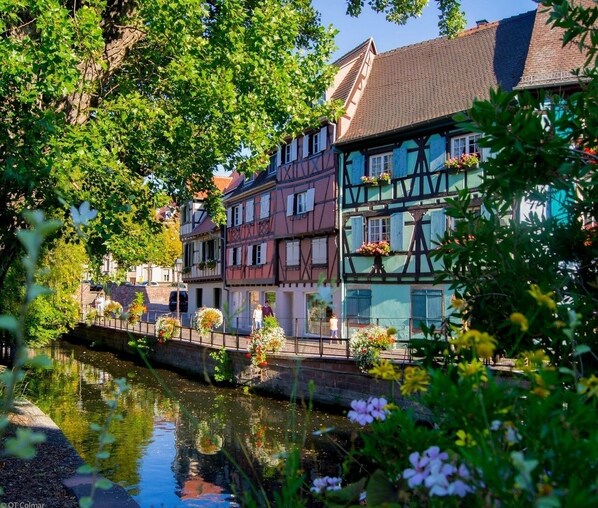 Eksteriør
