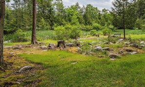 Property grounds - "Timber Acres" is nestled in the woods with private pond in Eagles Mere (Eagles Mere)