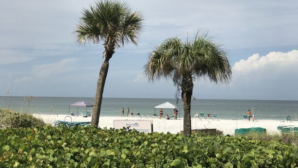 A beach with palm trees, a white umbrella, and a sign for 'Siesta Dunes'.
