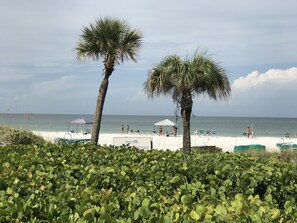 A beach with palm trees, a white umbrella, and lounge chairs.